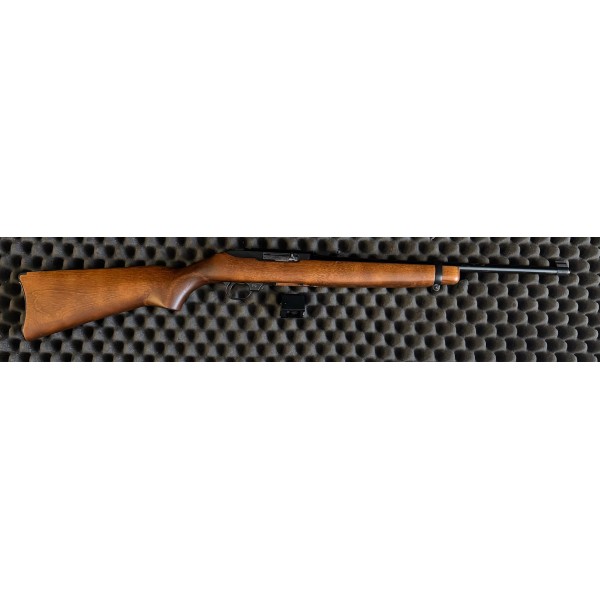 CARABINE RUGER 10/22 - 22LR - CATB